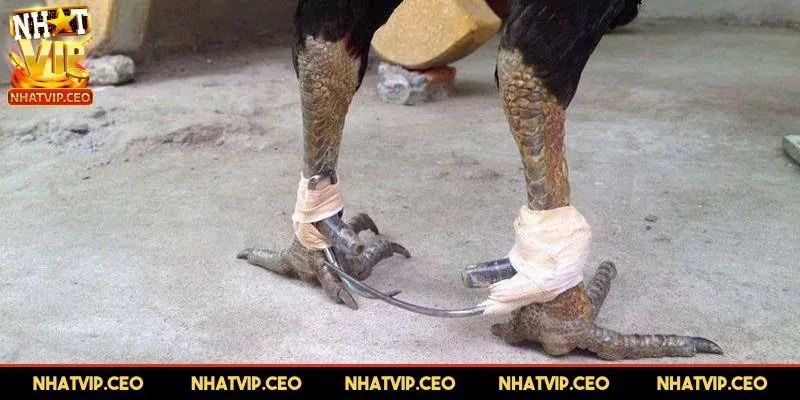 Cách băng qua từng loại trận đấu khác nhau